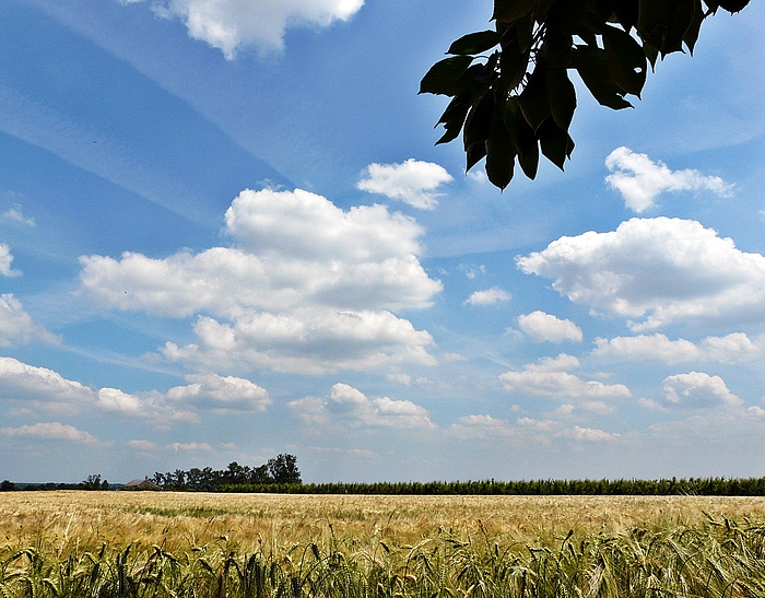 Ausblick