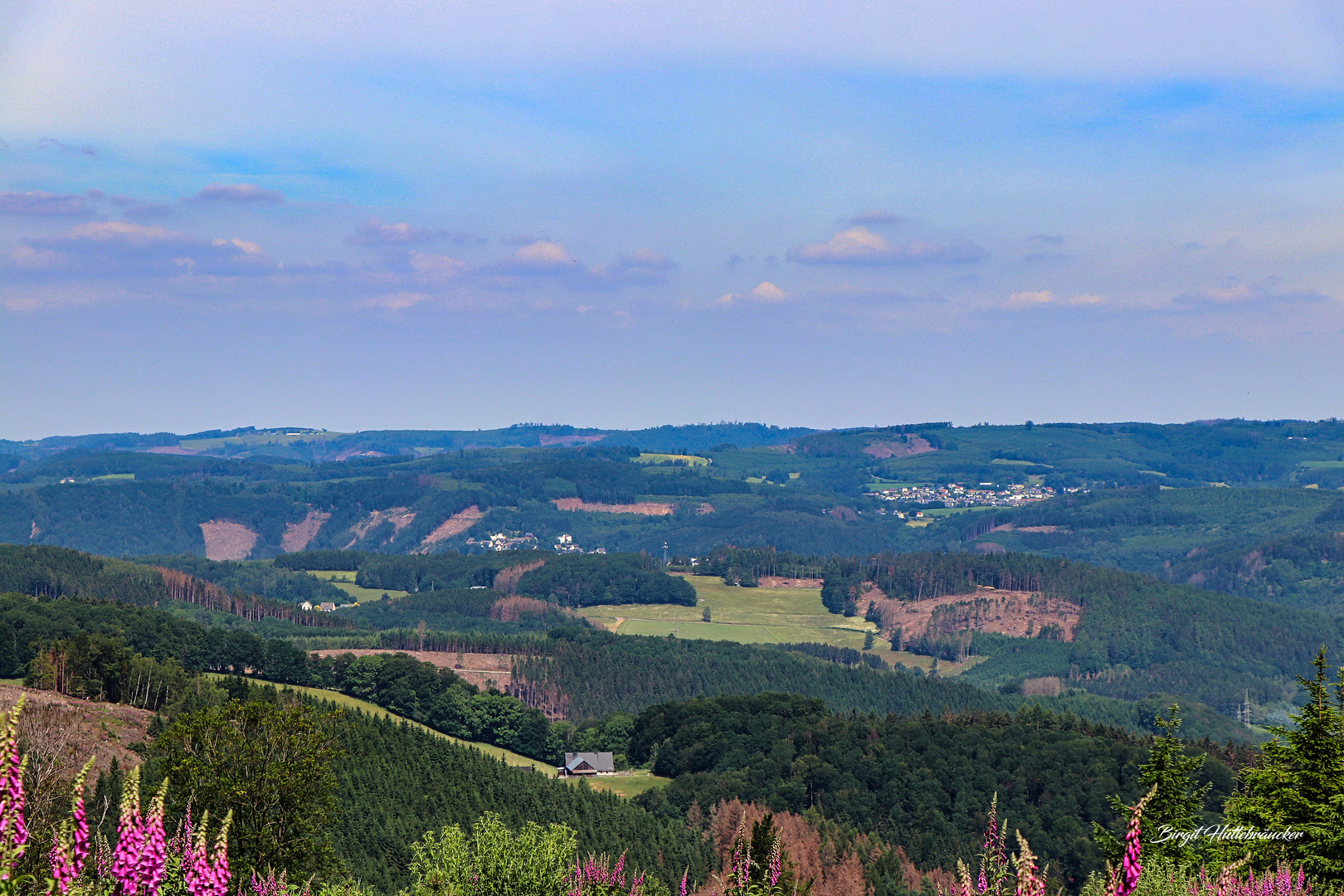 Ausblick