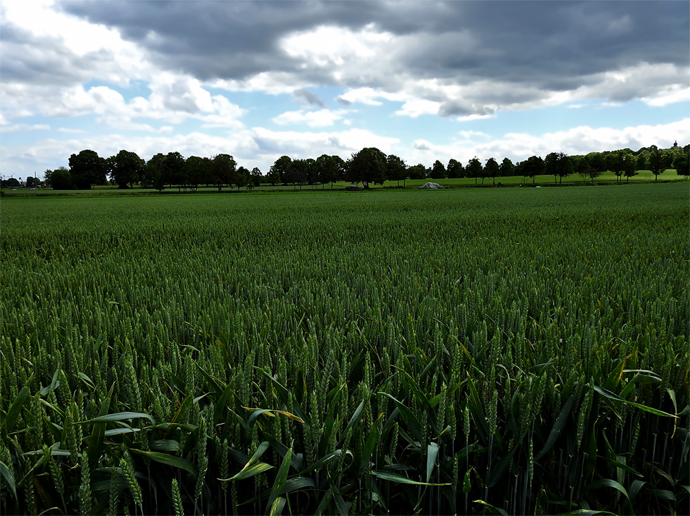 Ausblick,