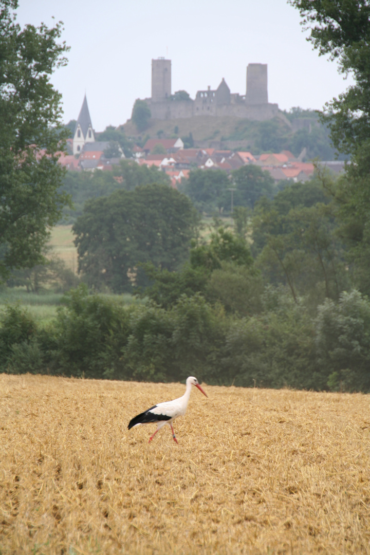 Ausblick