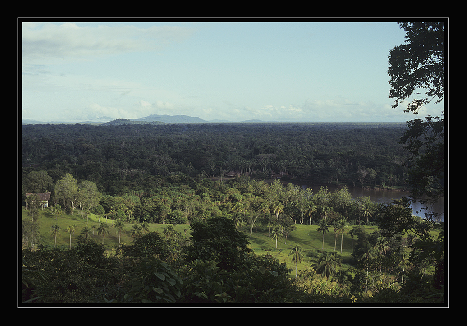 >>> Ausblick ... 