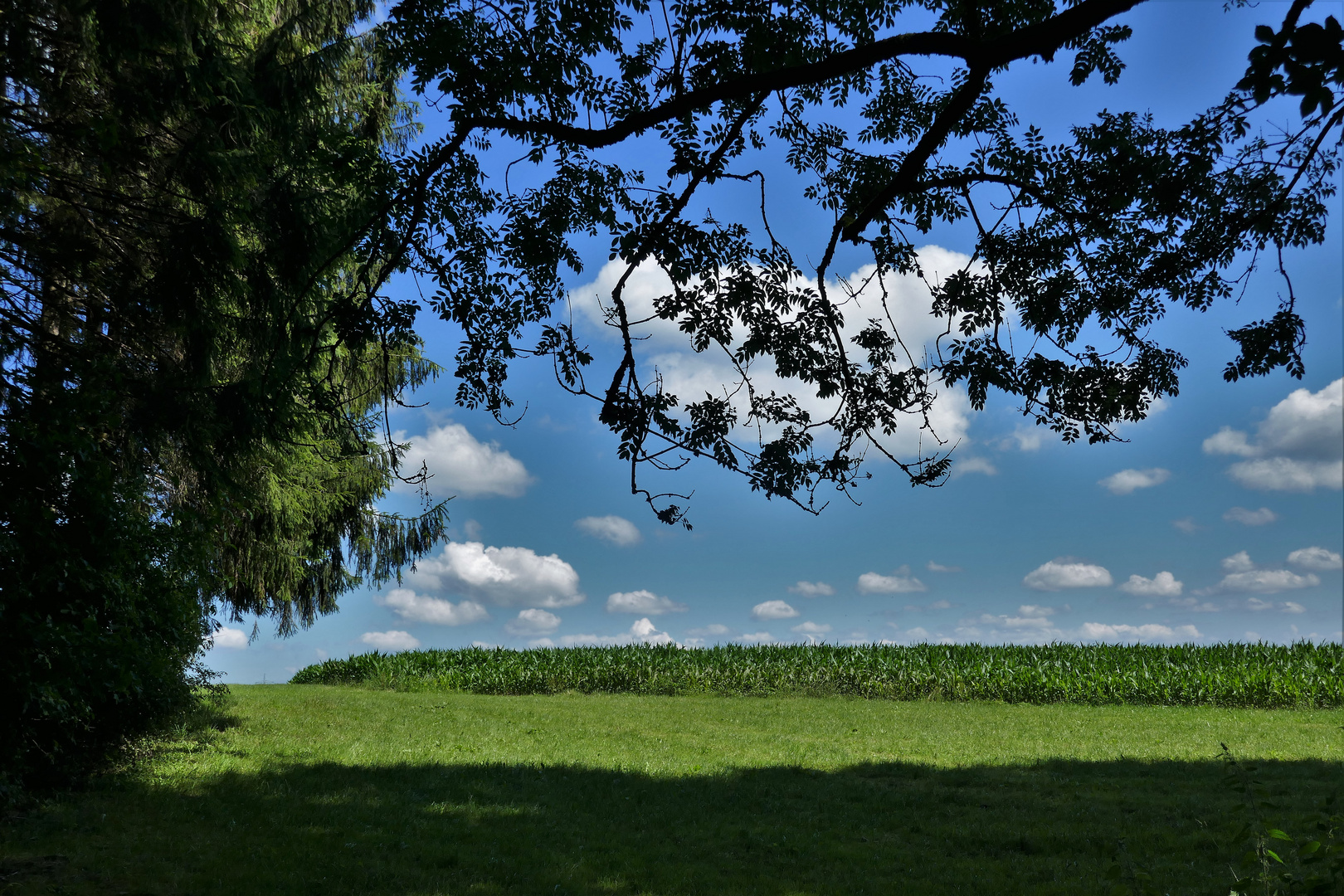 Ausblick