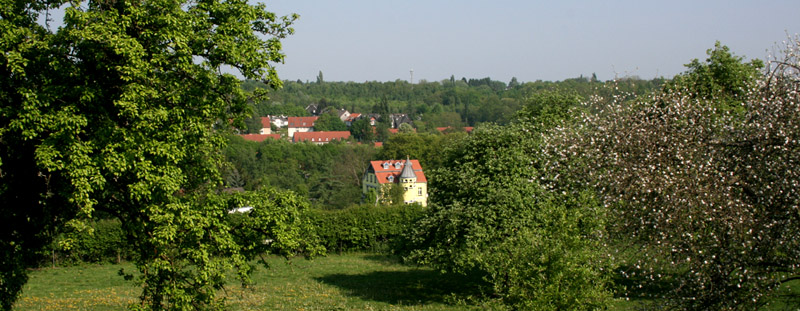 Ausblick