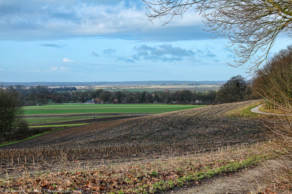 Ausblick