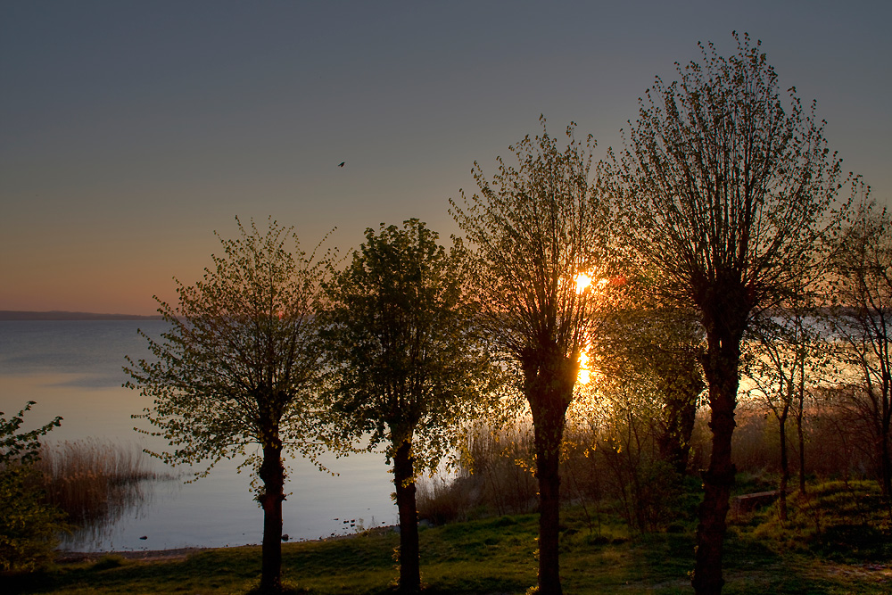 Ausblick