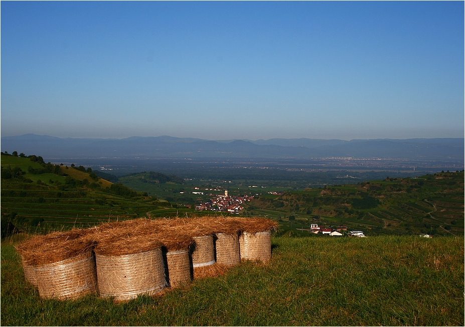 ausblick