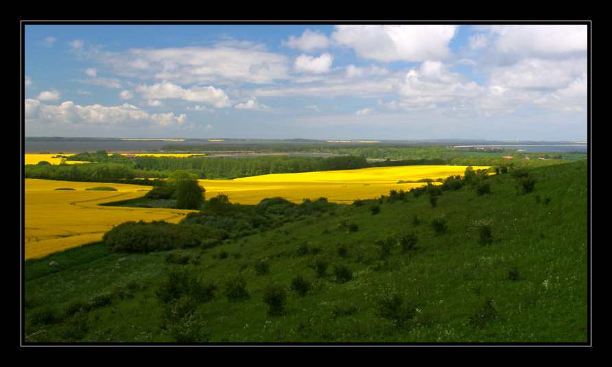 Ausblick