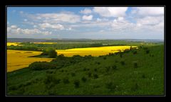 Ausblick