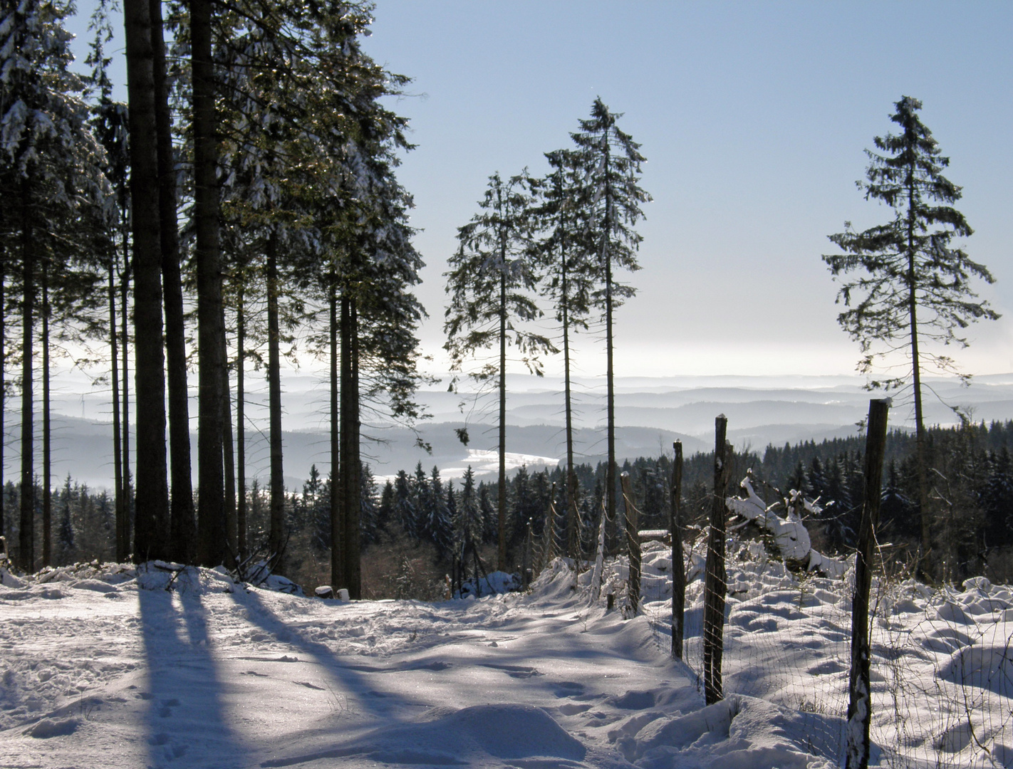 Ausblick