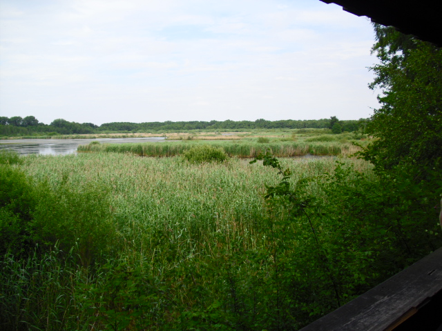 Ausblick