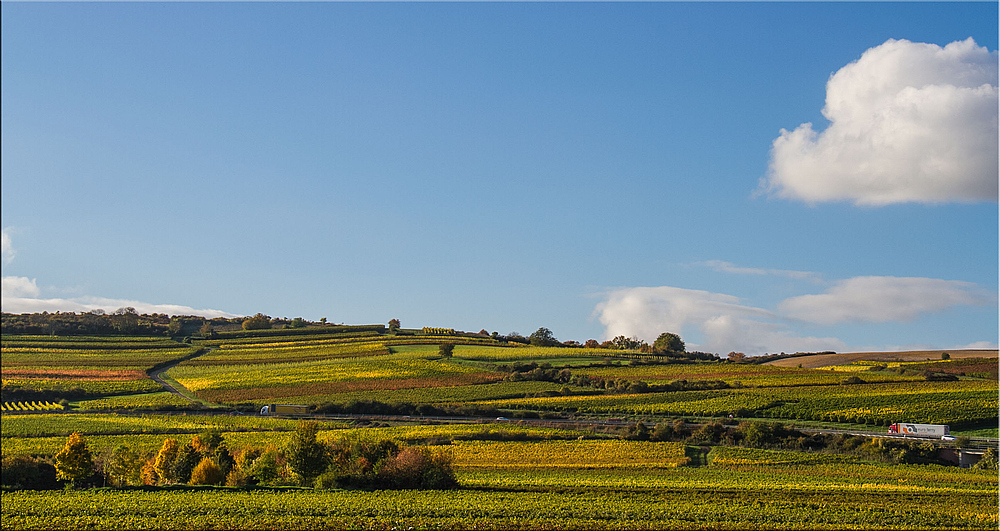 AUSBLICK