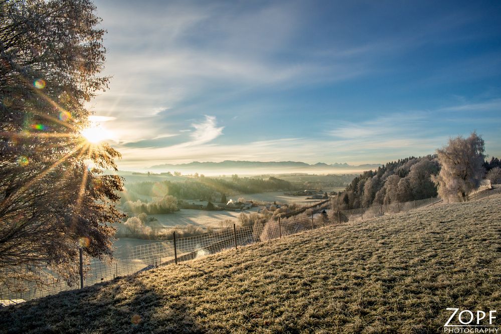 Ausblick