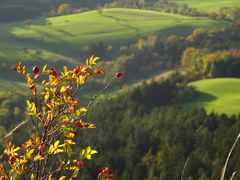 Ausblick