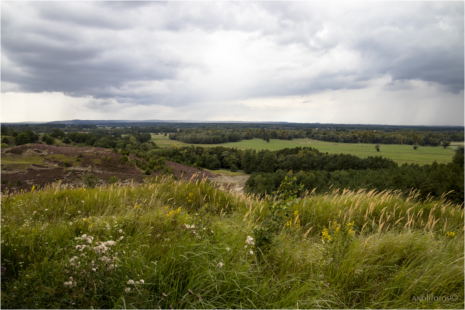 Ausblick