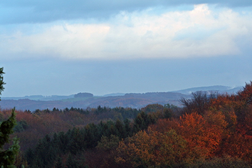 Ausblick