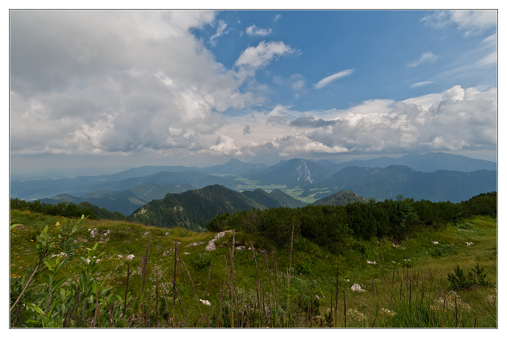 Ausblick