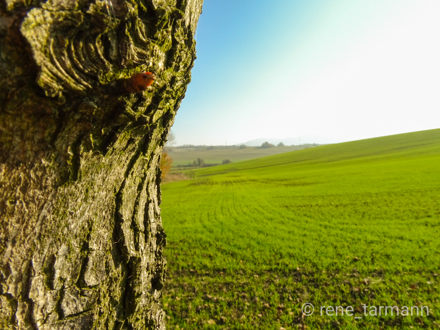 Ausblick