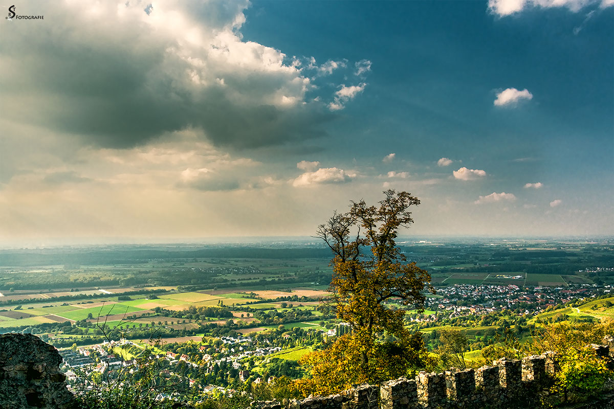 Ausblick