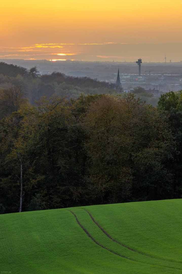 Ausblick