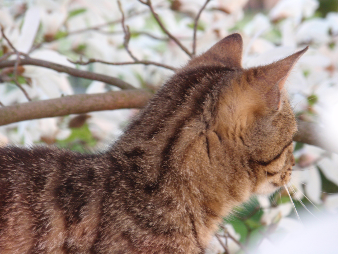 Ausblick