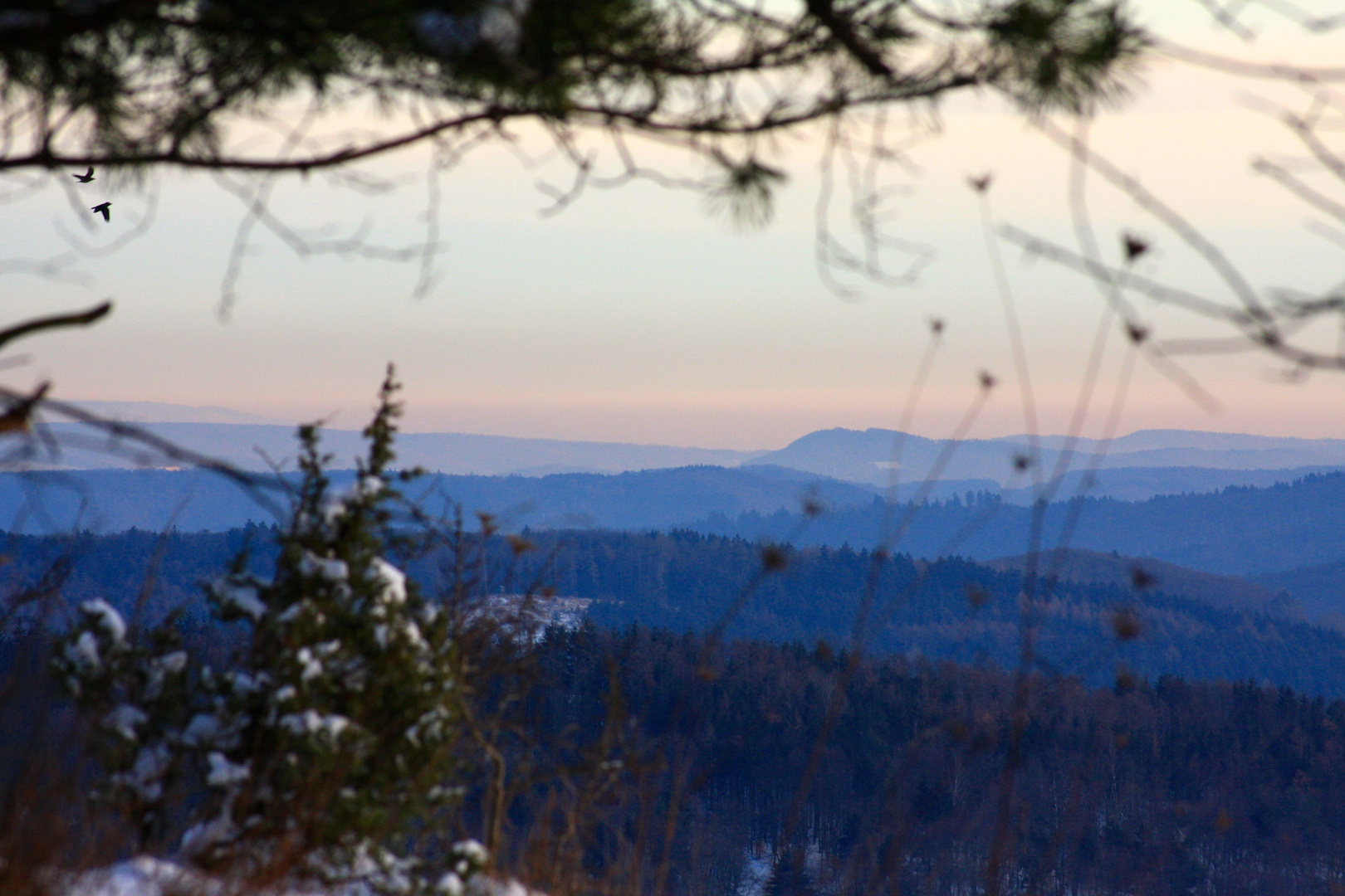 Ausblick