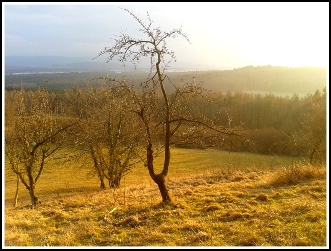 Ausblick