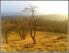 Ausblick