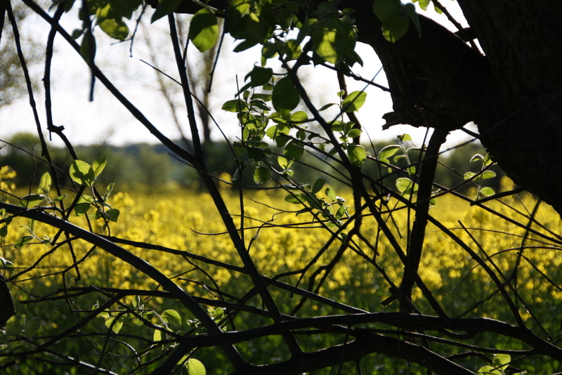 Ausblick