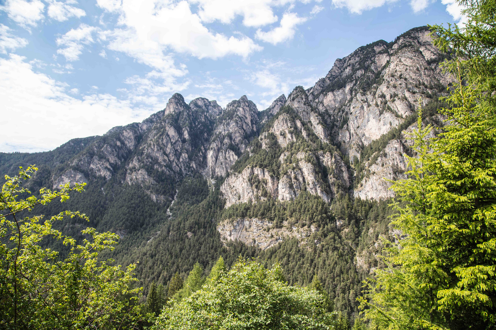 Ausblick als Einblick