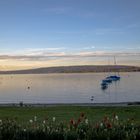 Ausblick am Bodensee