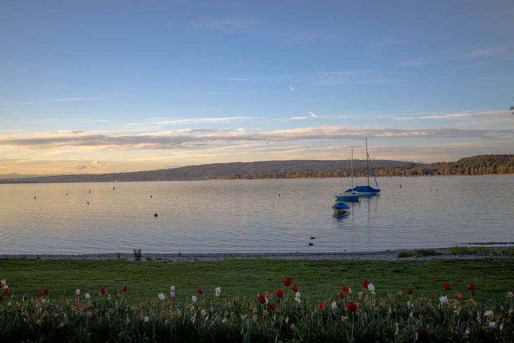 Ausblick am Bodensee