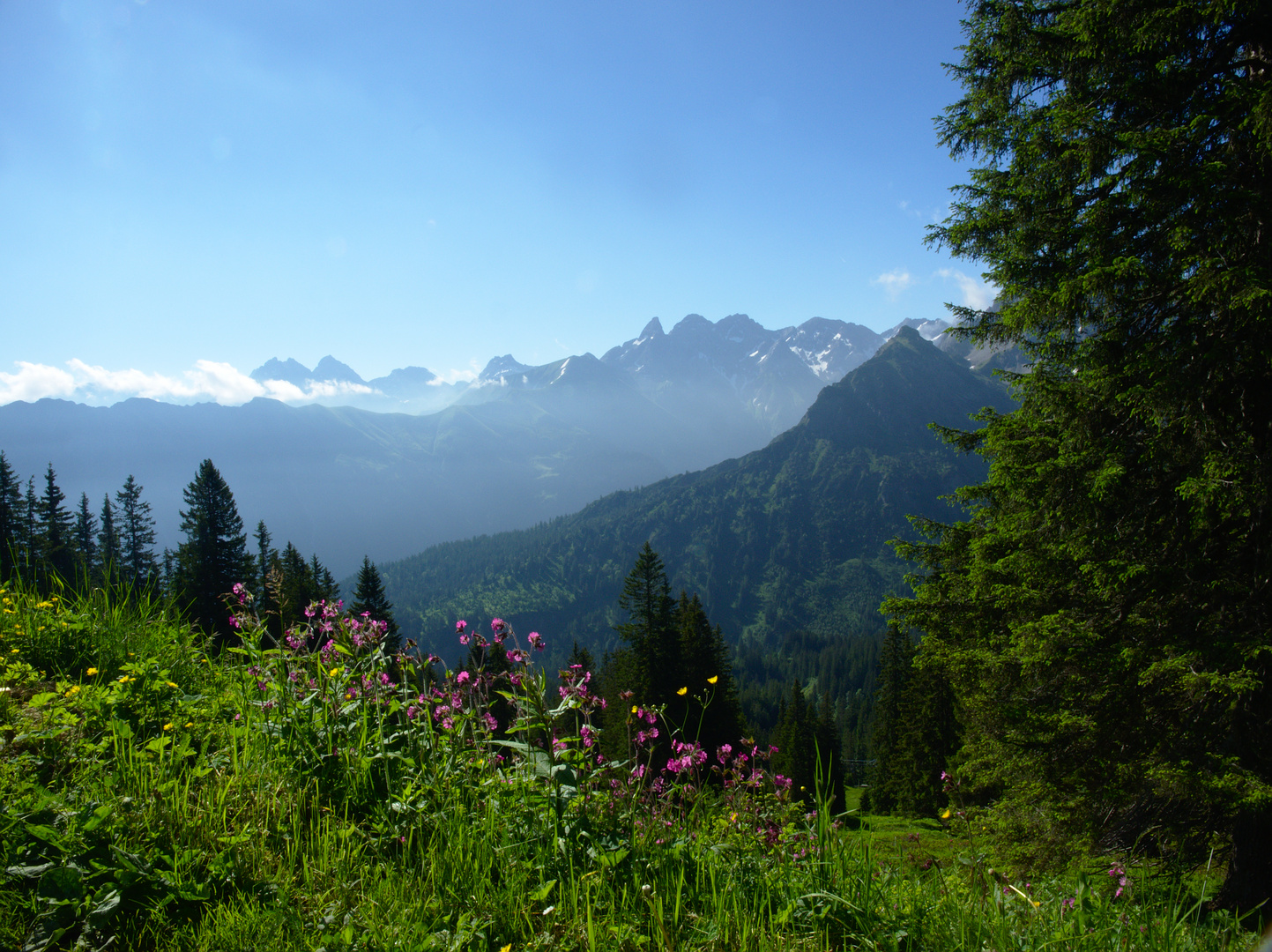 Ausblick am Fellhorn