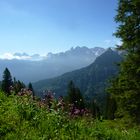 Ausblick am Fellhorn