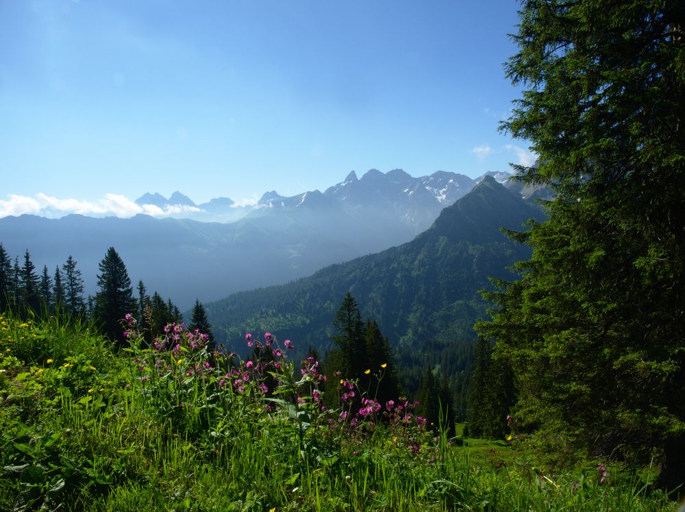 Ausblick am Fellhorn