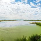 Ausblick am Großen Rosin