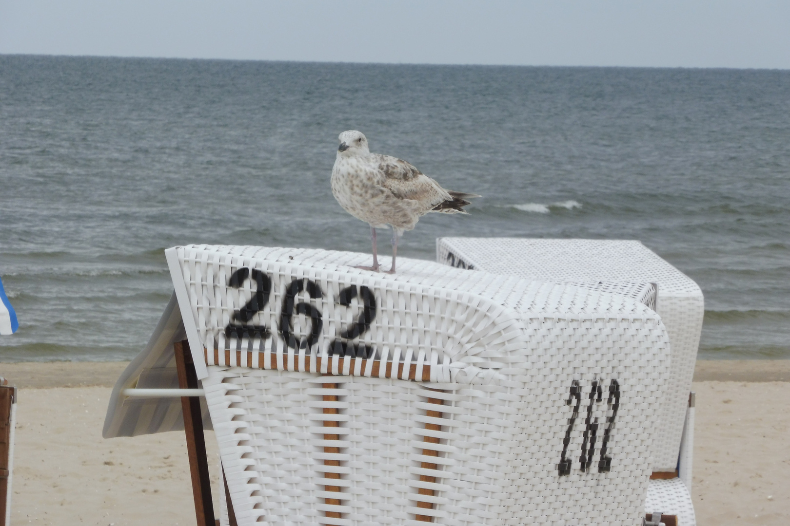 Ausblick am Strand Karlshagen: Kommt her , hier ist noch Platz