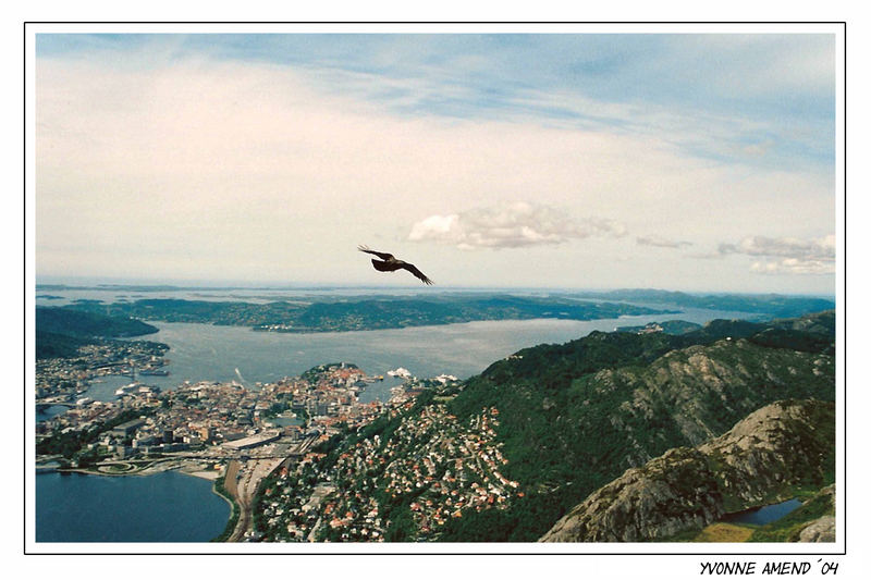 Ausblick auf Bergen!