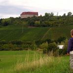 Ausblick auf Burg Hoheneck