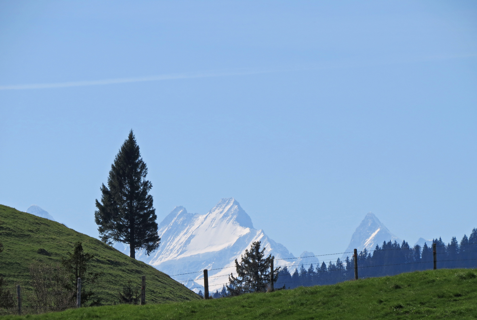 Ausblick auf dem Ahorn