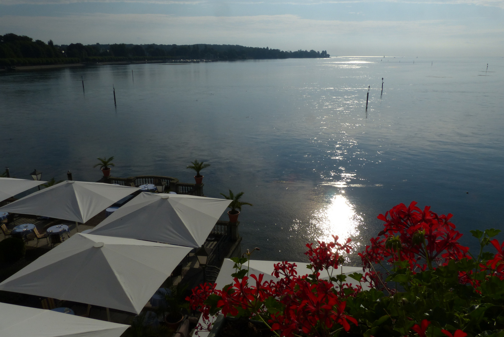 Ausblick auf den Bodensee