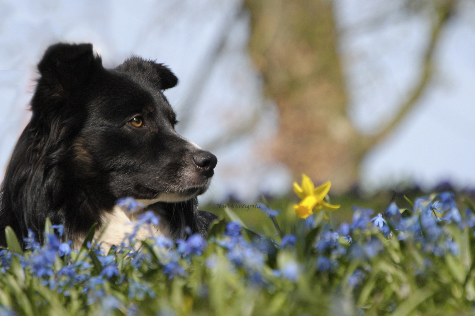 Ausblick auf den Frühling