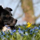 Ausblick auf den Frühling