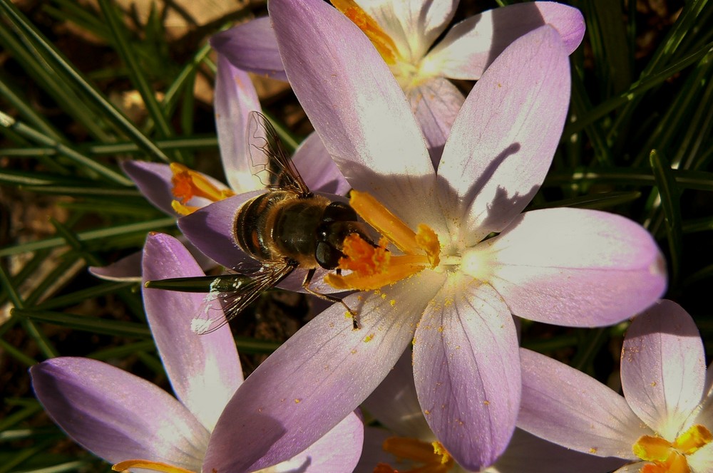 Ausblick auf den Frühling