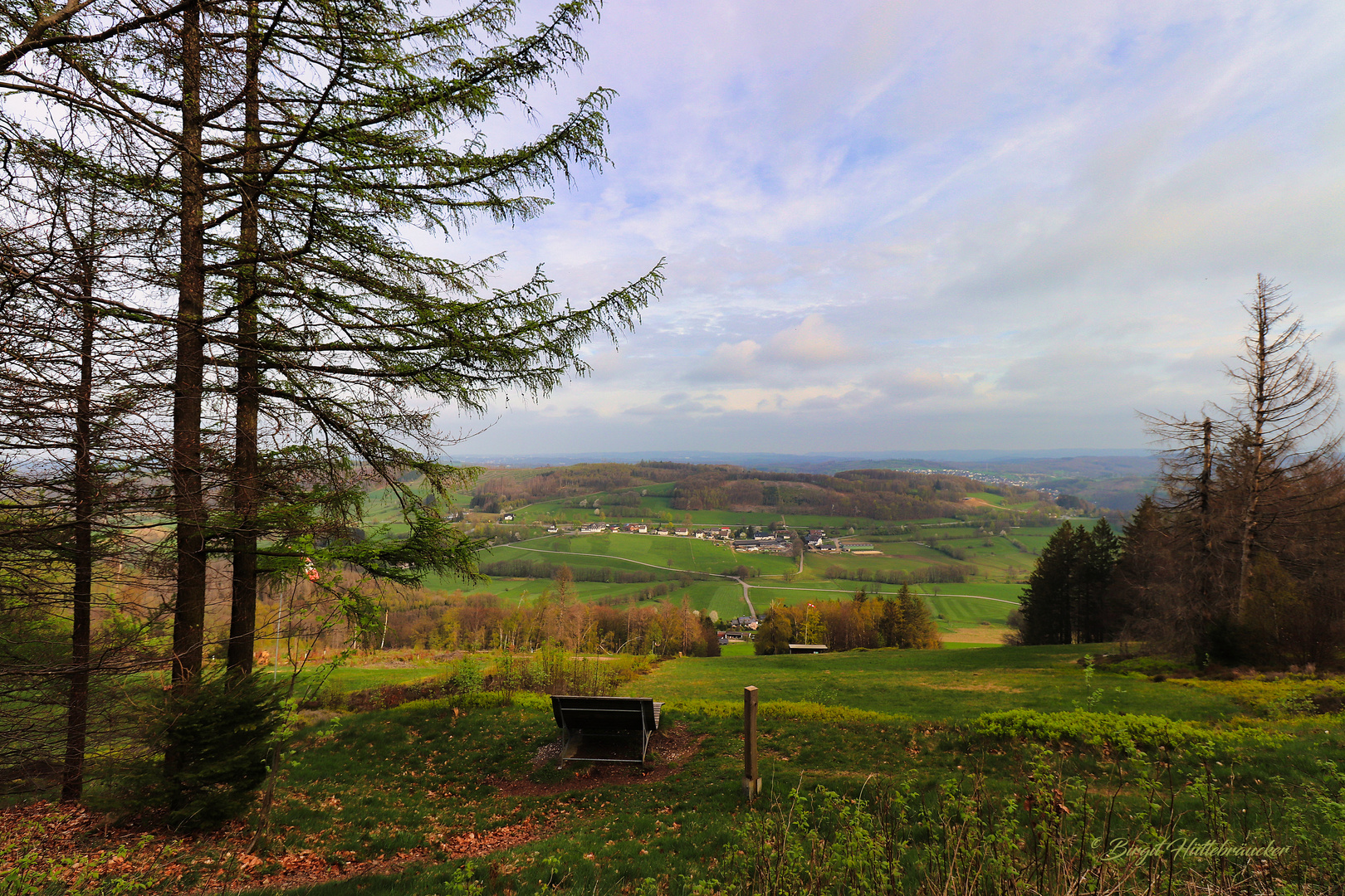 Ausblick auf den Frühling