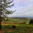 Ausblick auf den Frühling