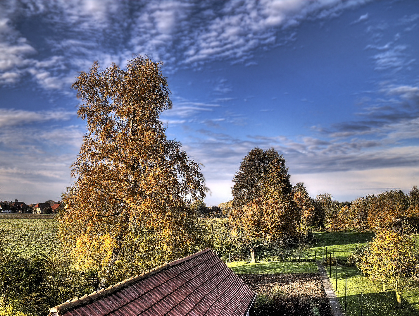 Ausblick auf den herbstlichen Garten