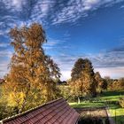 Ausblick auf den herbstlichen Garten