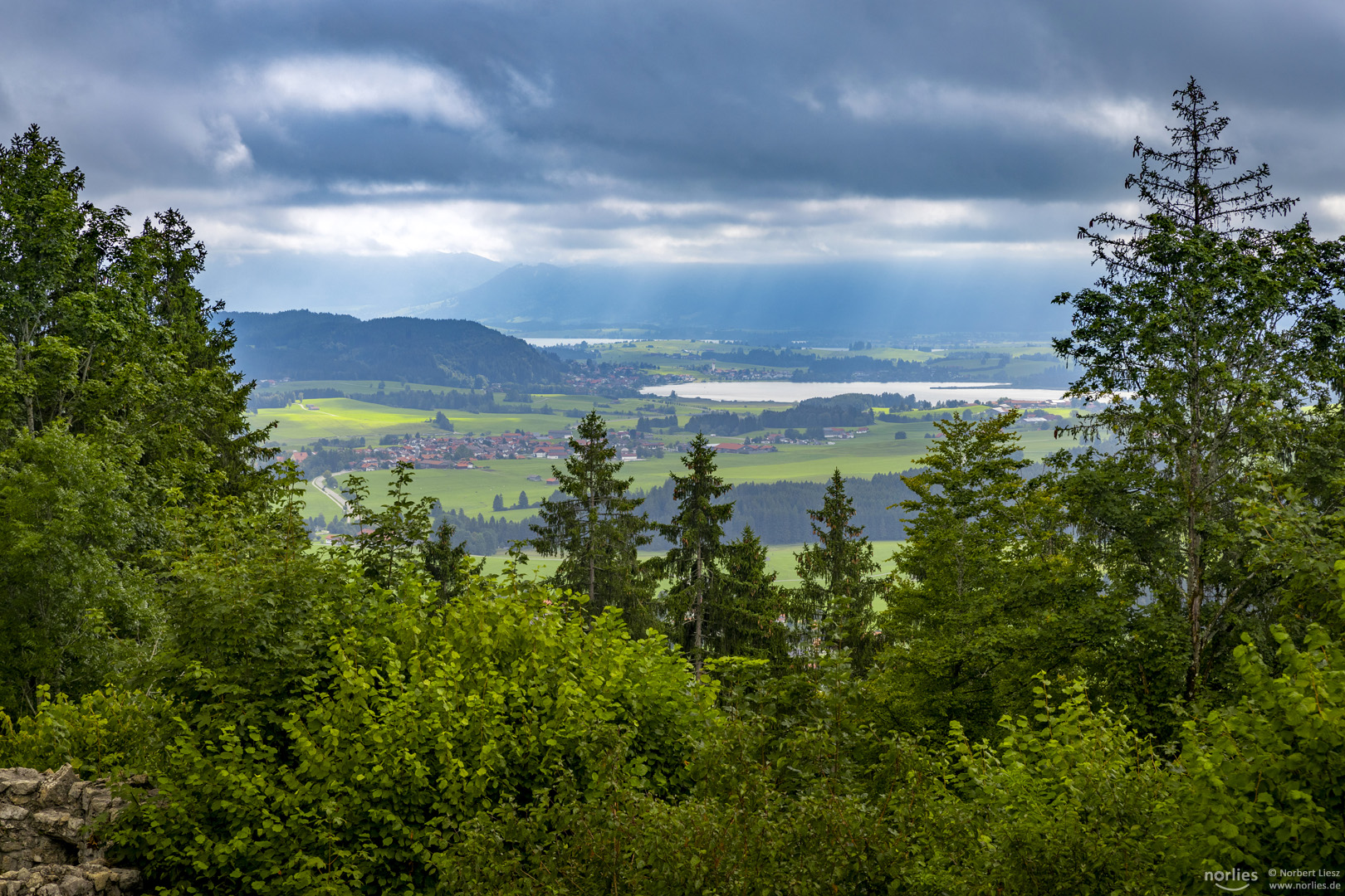 Ausblick auf den Hopfensee