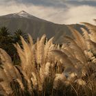 Ausblick auf den Pico del Teide