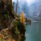 Ausblick auf den Pragser Wildsee